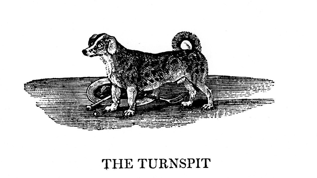 O Tunspit, 1790 de Unbekannt
