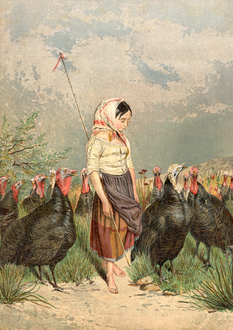 O Guardião da Turquia, 1858 de Unbekannt