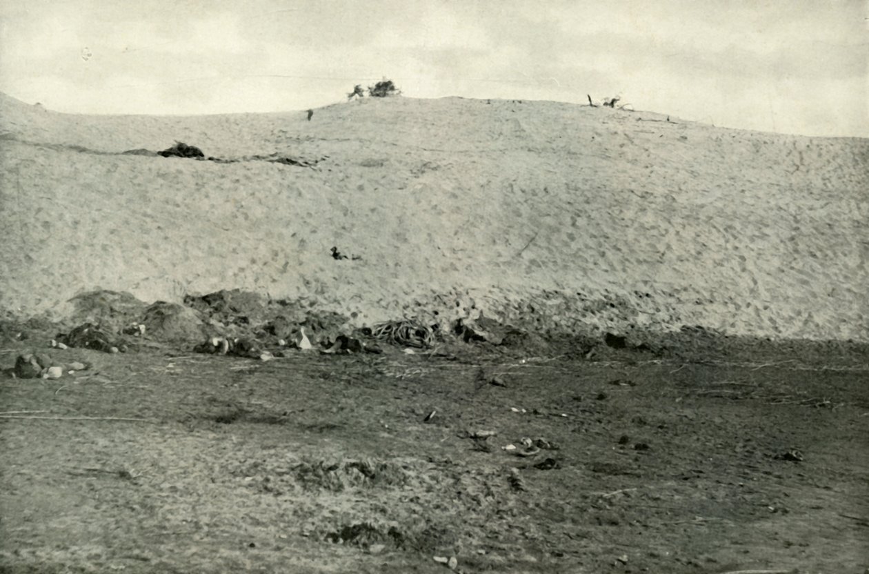 A derrota turca no canal de Suez, c1915, 1919. de Unbekannt