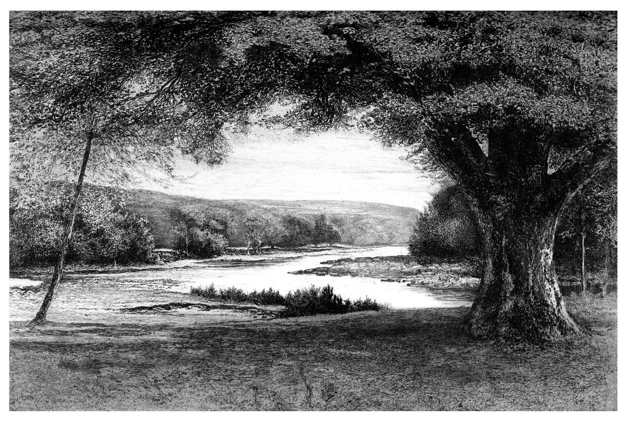 O Vale da Avoca, 1895 de Unbekannt