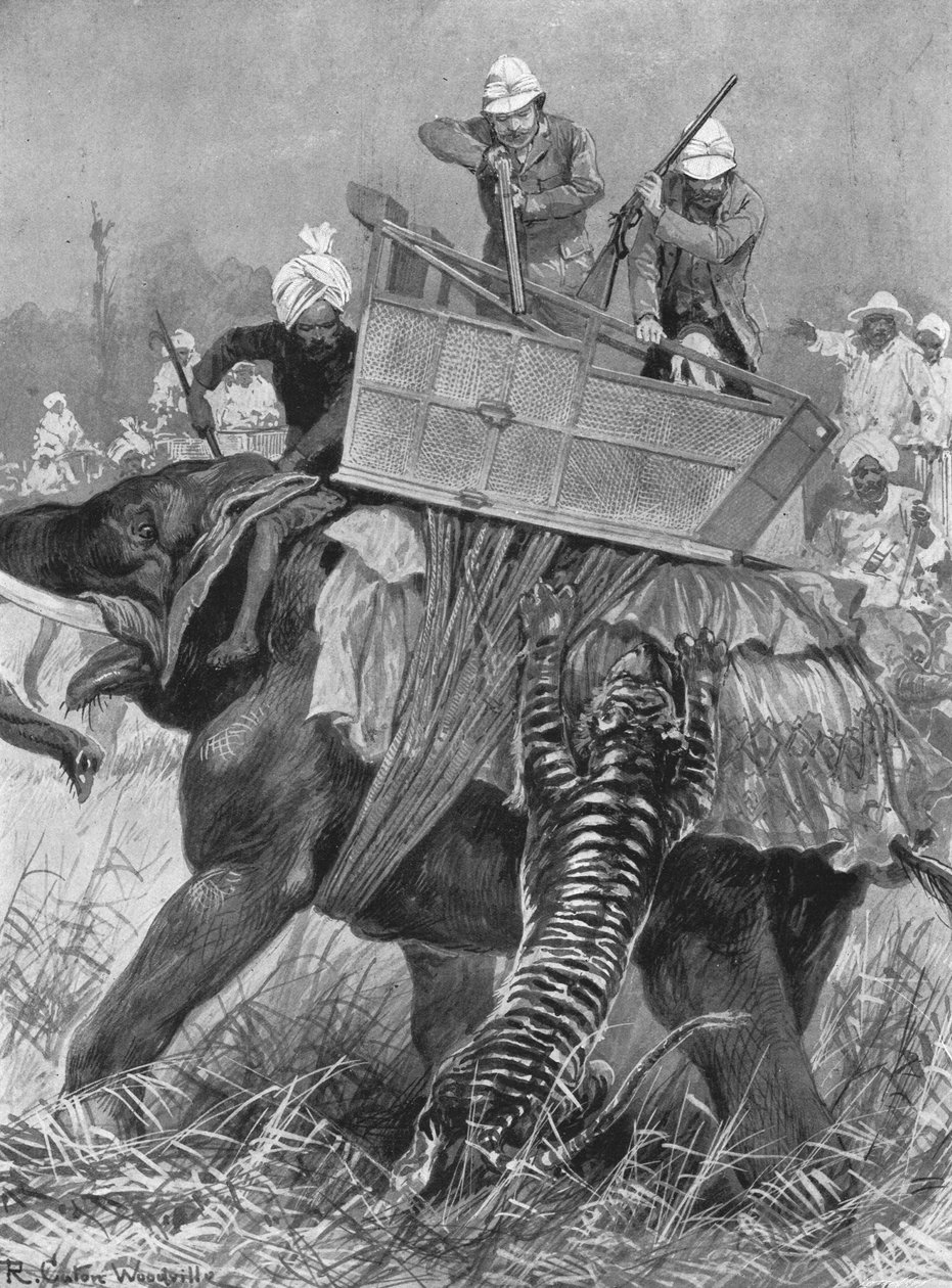 A Visita do Príncipe de Gales à Índia, 1876: Os Príncipes Elefante cobrado por um Tigre, 1901. de Unbekannt