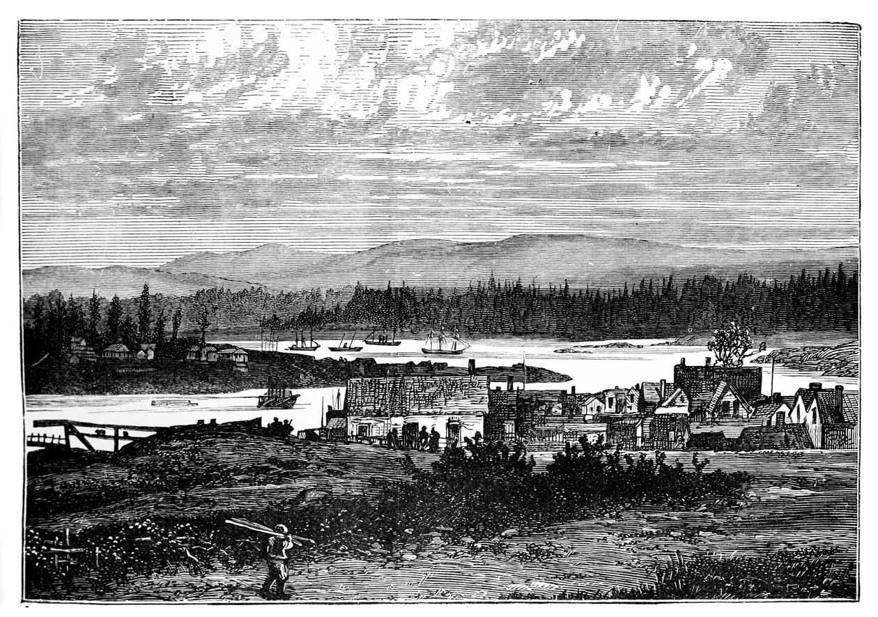 Os subúrbios ocidentais de Victoria, ilha de Vancouver, Canadá, c1888 de Unbekannt