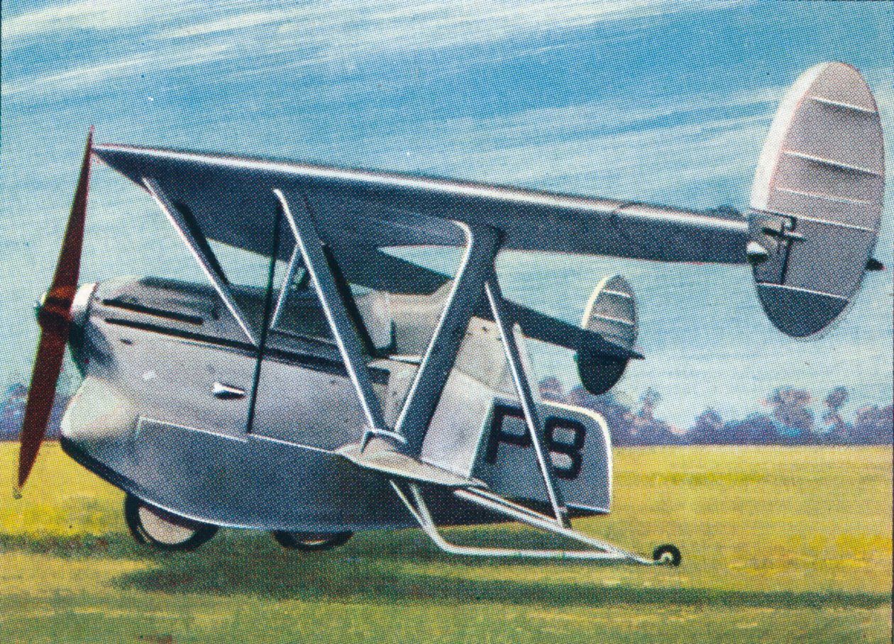 O Pterodátilo de Westland-Hill, 1938 de Unbekannt