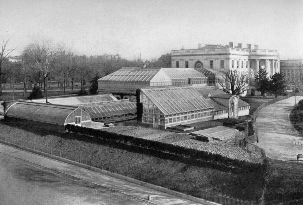 A Casa Branca e estufas, Washington DC, EUA, 1908 de Unbekannt
