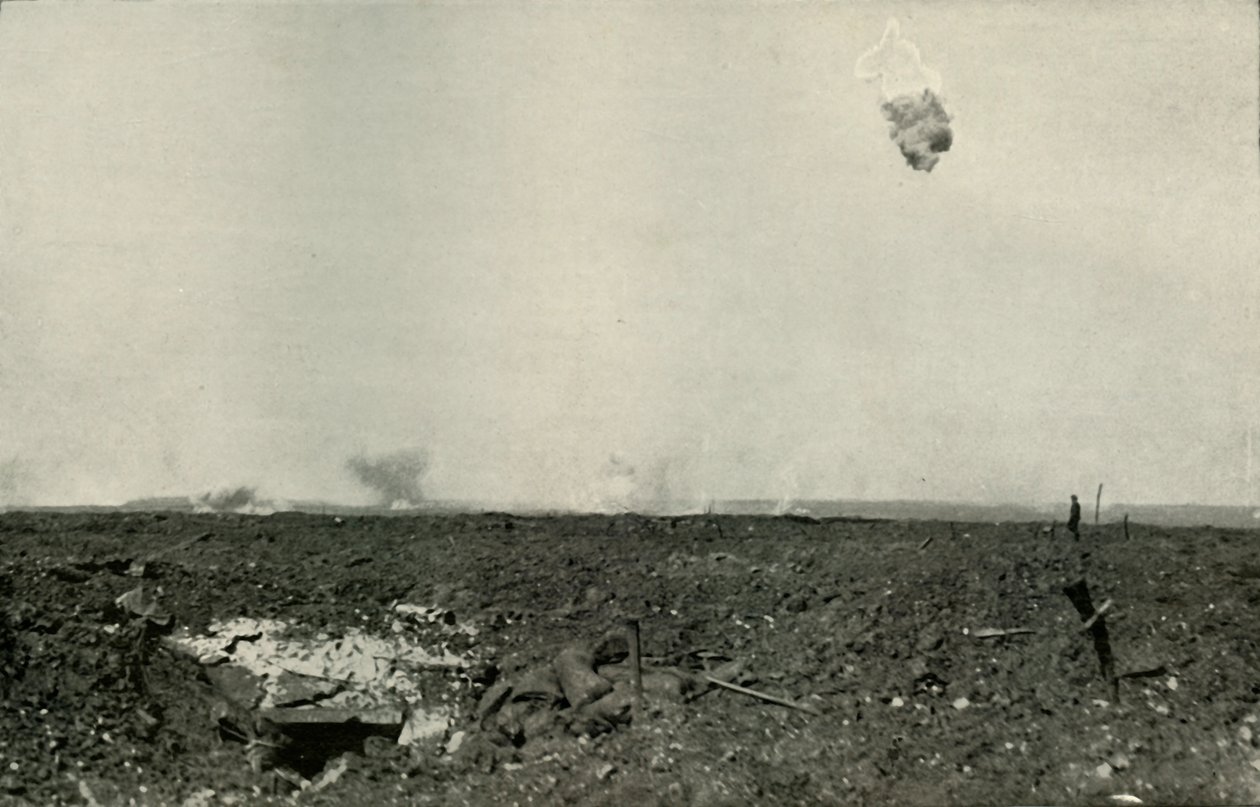 O urso felpudo., 1919. de Unbekannt