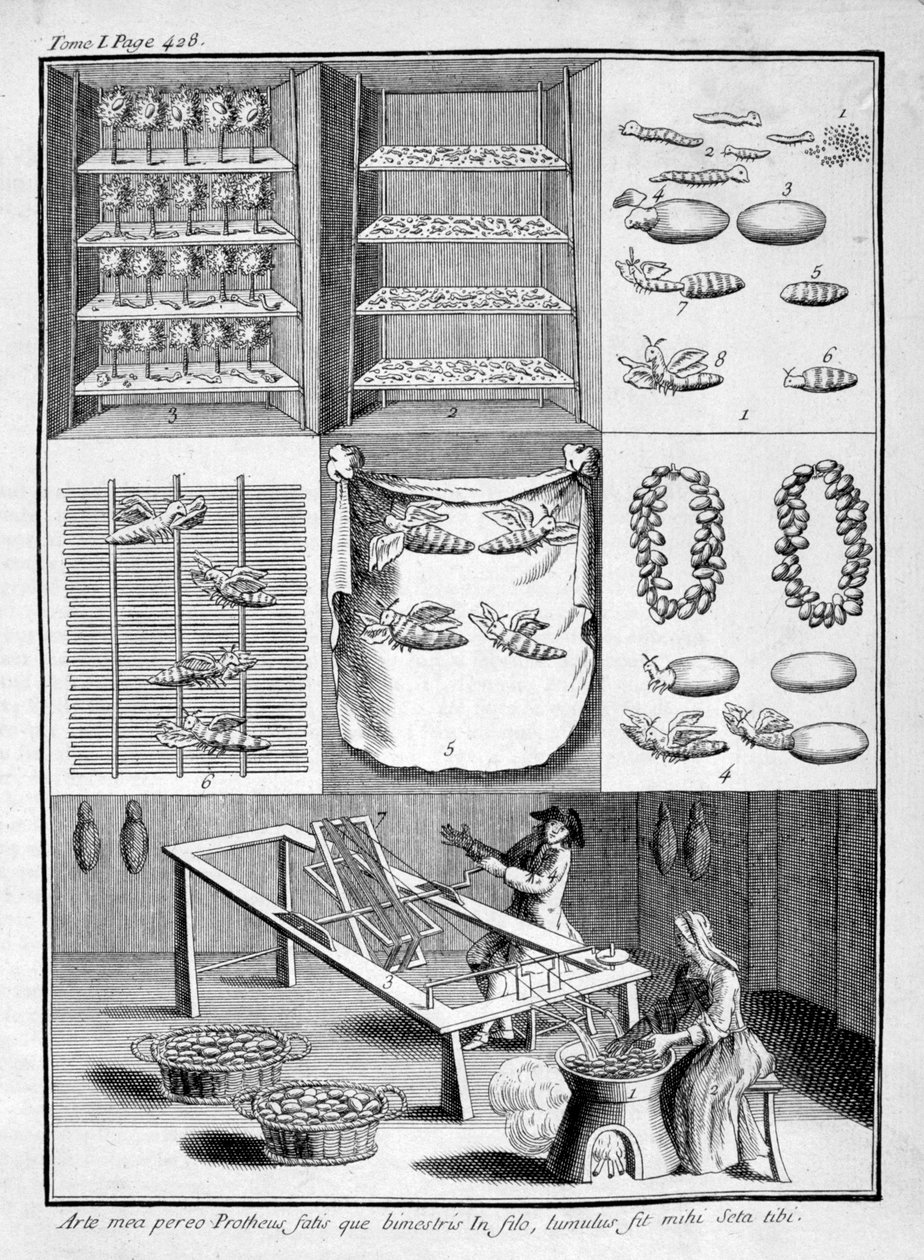 A criação de bichos-da-seda, 1775 de Unbekannt
