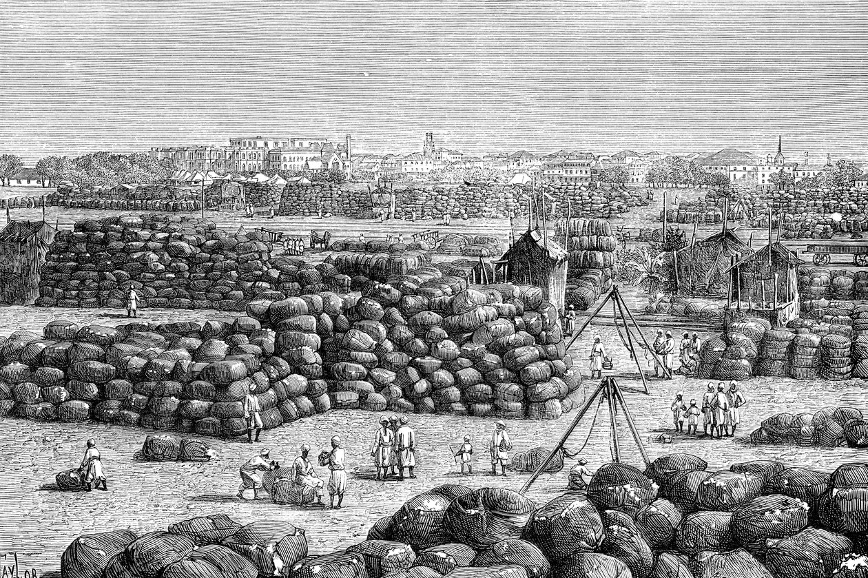 O mercado de algodão em Bombaim, Índia, 1895 de Unbekannt