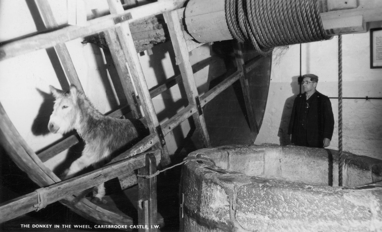 O burro na roda, Carisbrooke Castle, perto de Newport, Ilha de Wight, século XX de Unbekannt