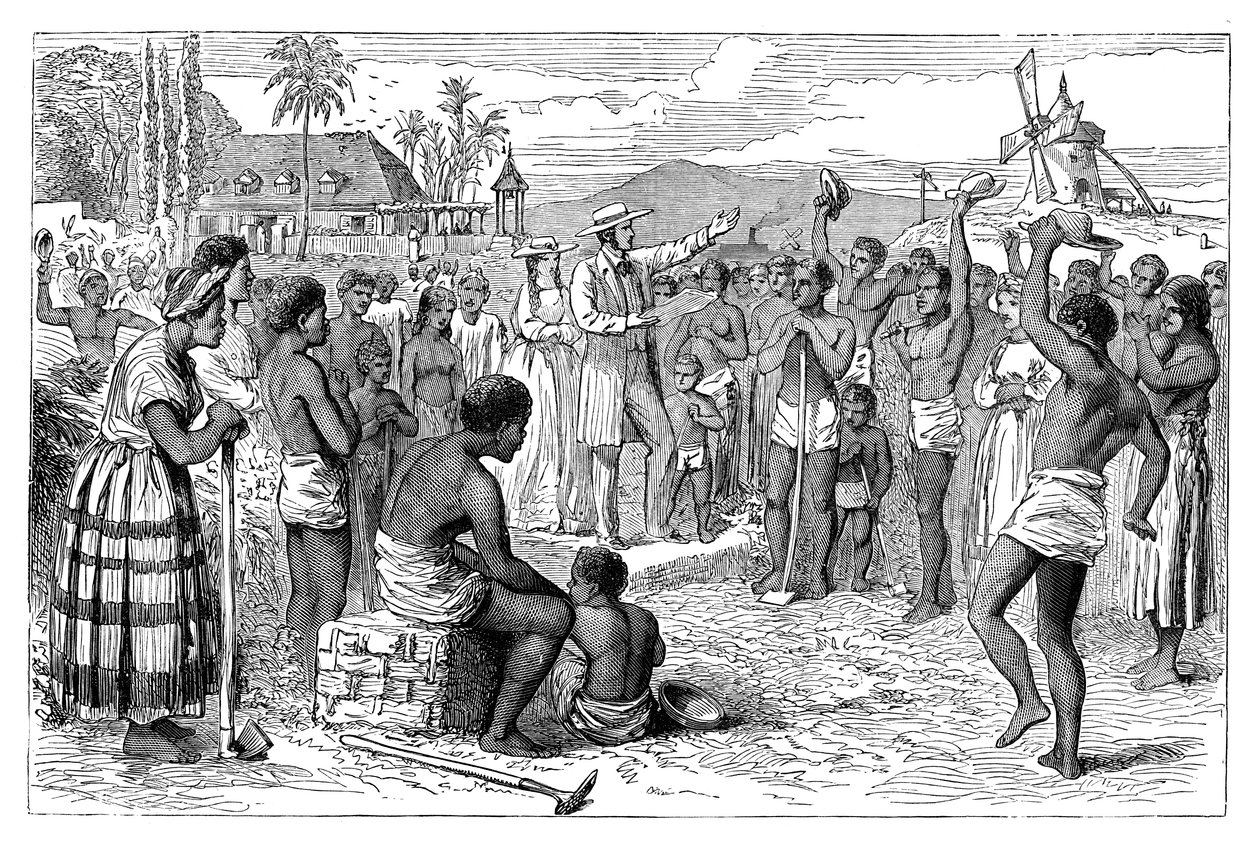 A emancipação de escravos em uma plantação das Índias Ocidentais, início do século XIX c1895 de Unbekannt