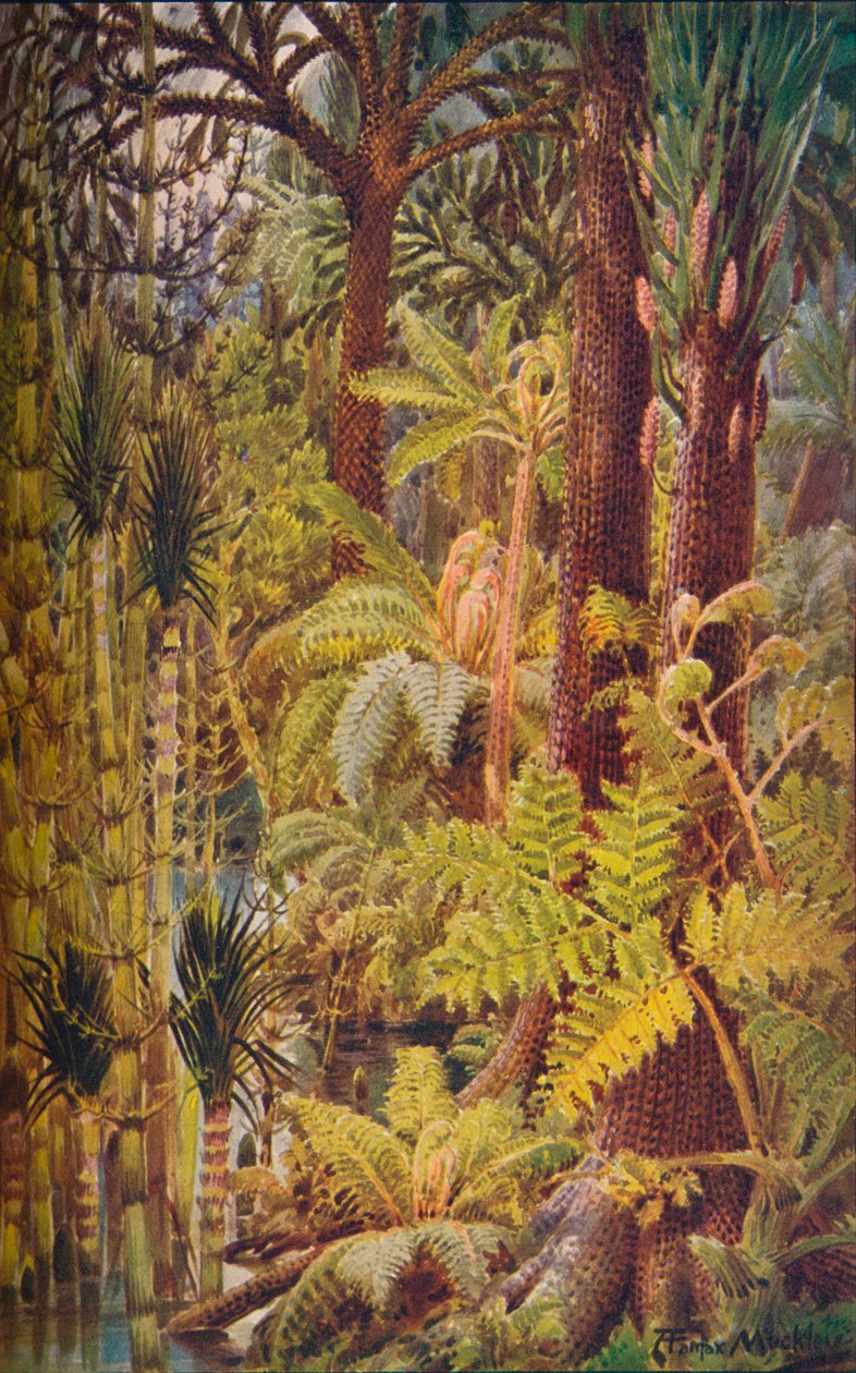 A vegetação gigantesca da Era Carbonífera, 1907. de Unbekannt