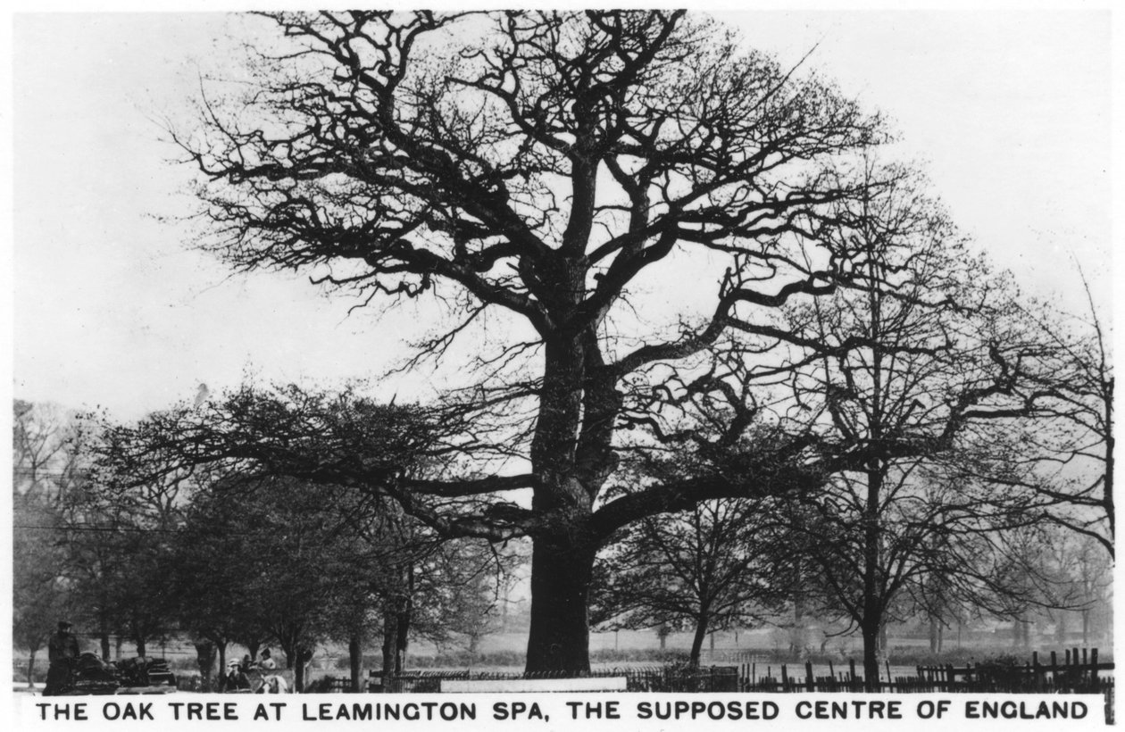 O carvalho em Leamington Spa, o suposto centro da Inglaterra, 1936 de Unbekannt