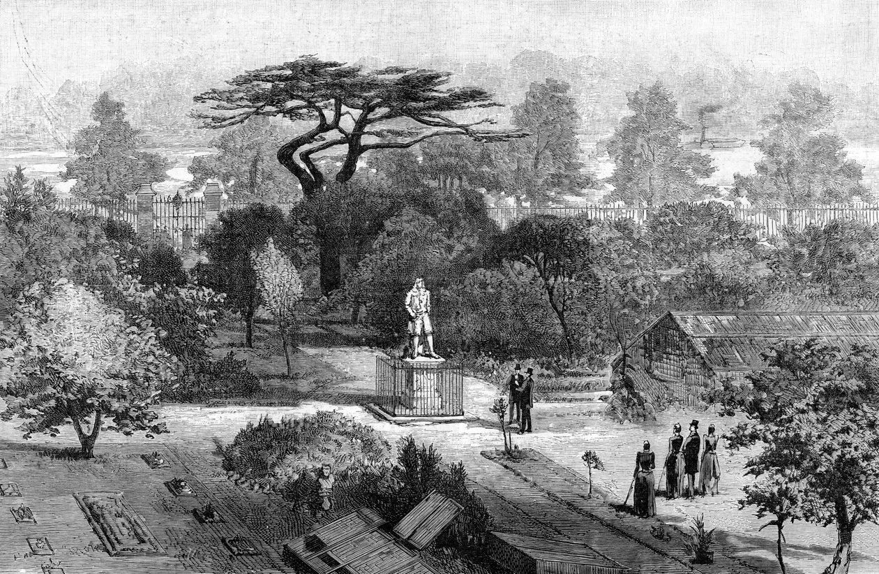 O antigo jardim físico, Chelsea, 1890 de Unbekannt