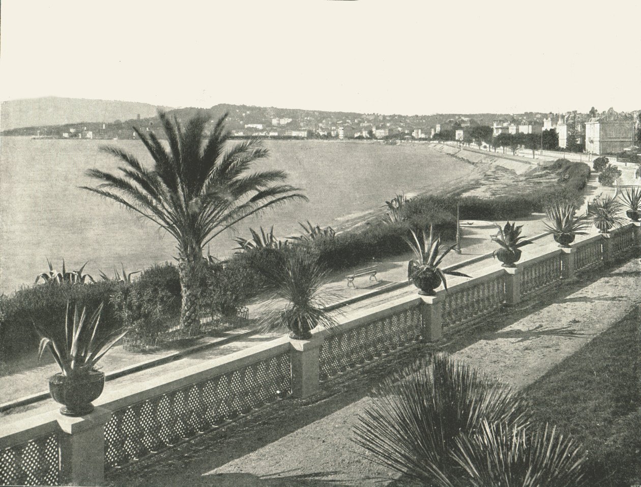O panorama de La Croisette, Cannes, França, 1895. de Unbekannt