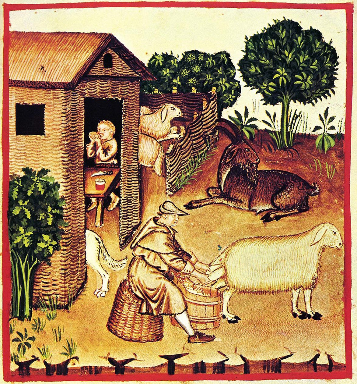A produção de queijo. Uma miniatura de Tacuinum Sanitatis, segunda metade do 14º cen. de Unbekannt