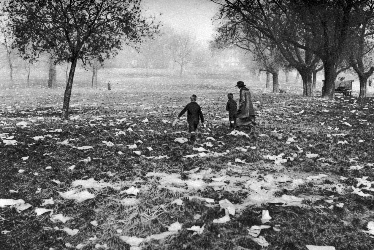 O lixo deixado em Hamstead Heath após um feriado bancário, Londres, 1926-1927 de Unbekannt