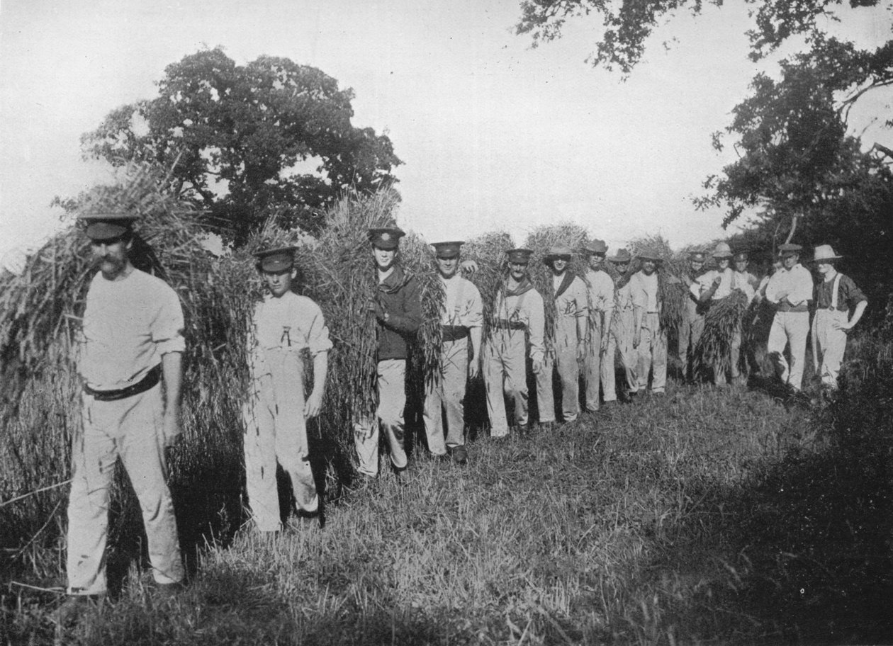 A falta de mão-de-obra agrícola: soldados ajudando na colheita, 1915 de Unbekannt