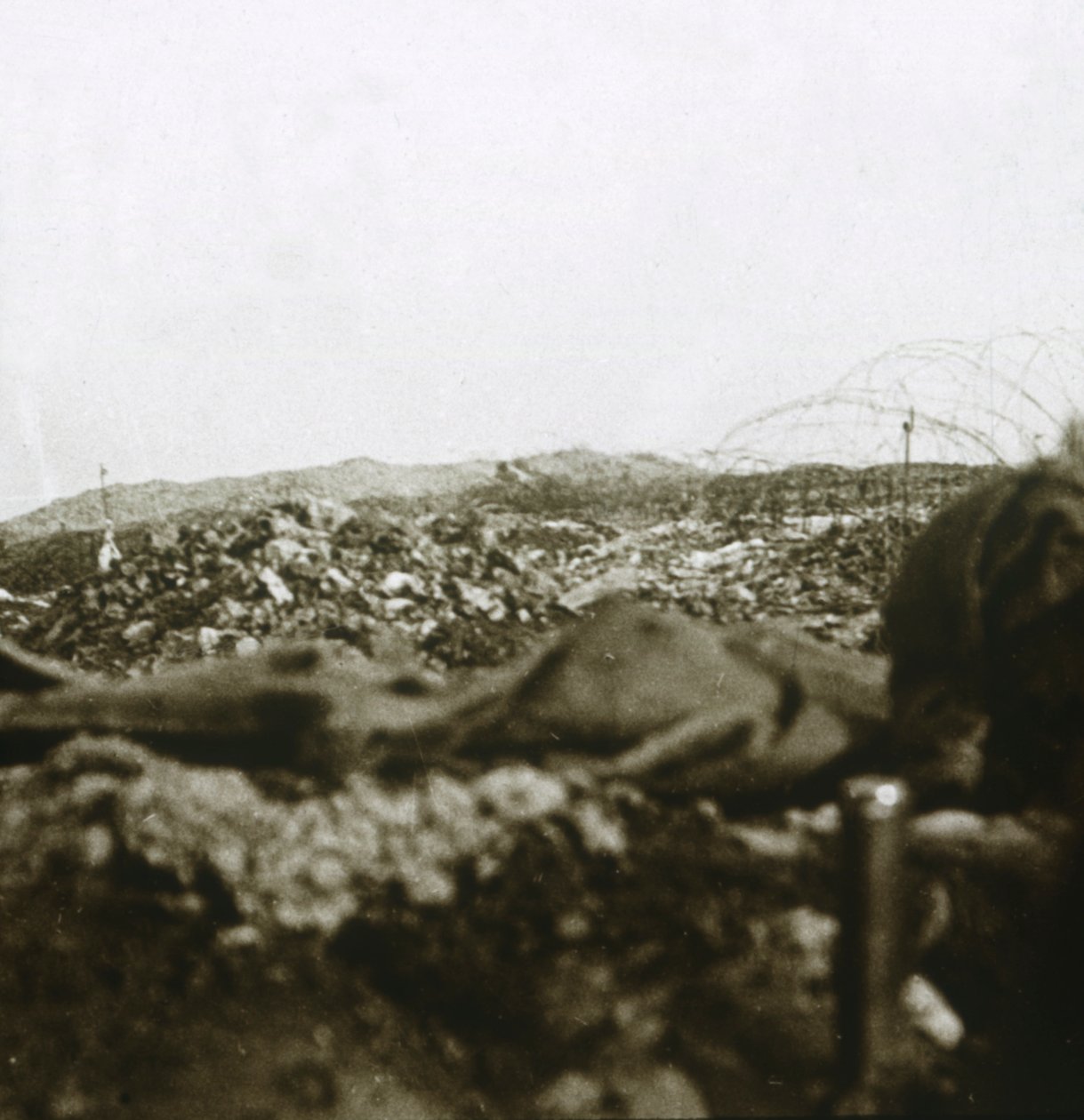 A cimeira, Les Éparges, norte da França, c1914-c1918. de Unbekannt