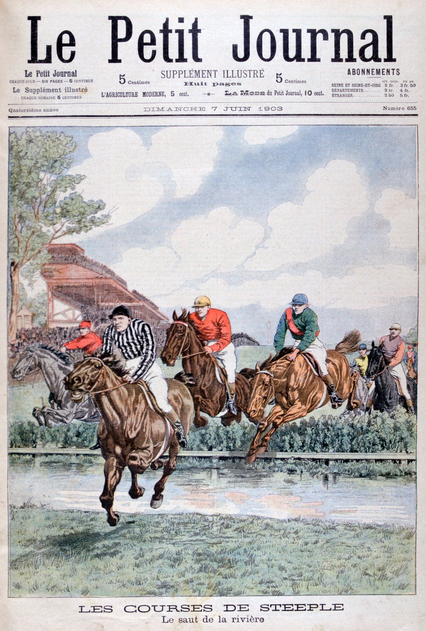 O salto de água na corrida de obstáculos, Auteuil, 1903 de Unbekannt