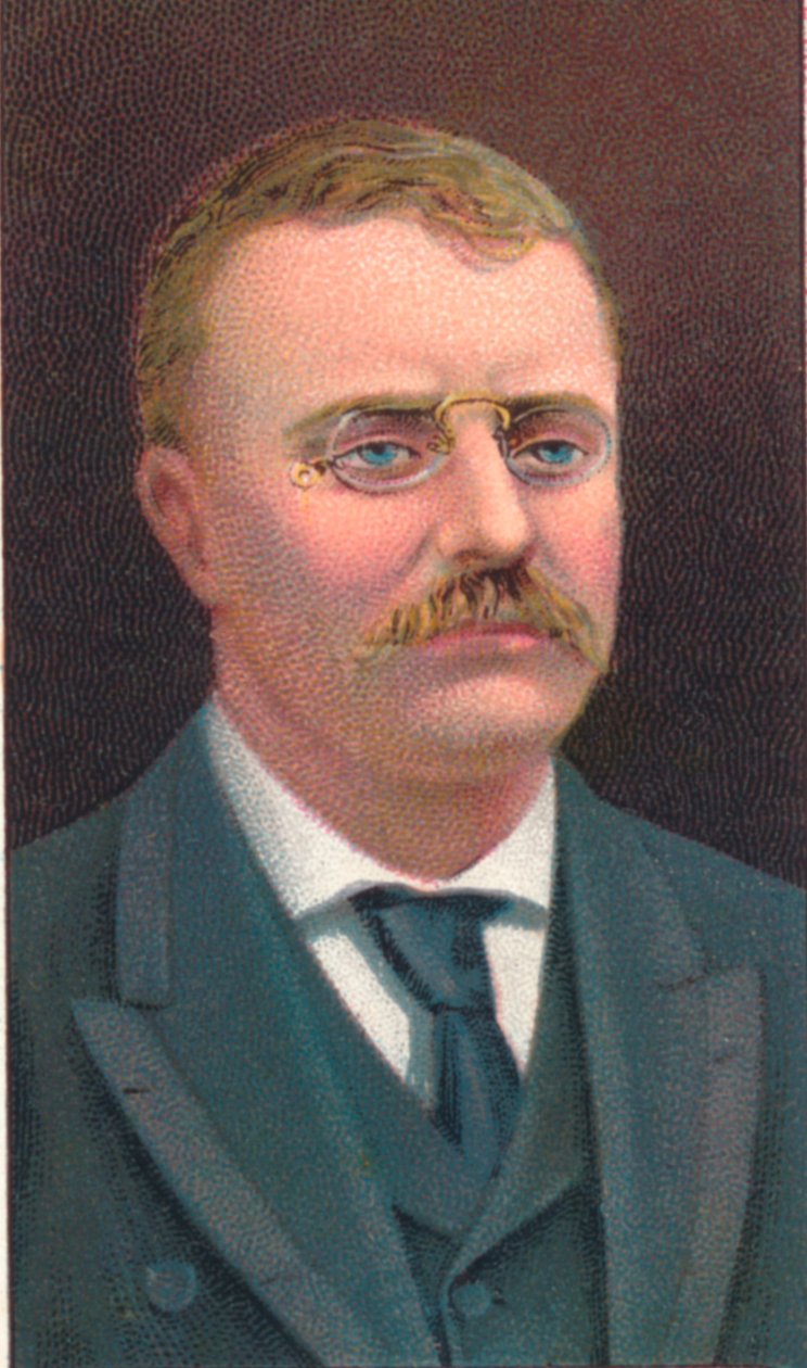 Theodore Roosevelt 1858-1919, 26º Presidente dos Estados Unidos, 1906 de Unbekannt