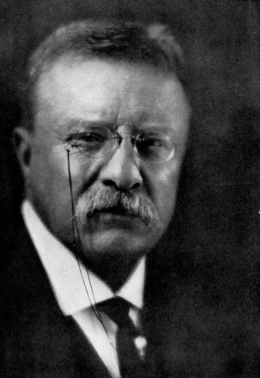 Retrato Presidencial De Theodore Roosevelt Theodore Roosevelt, De 59