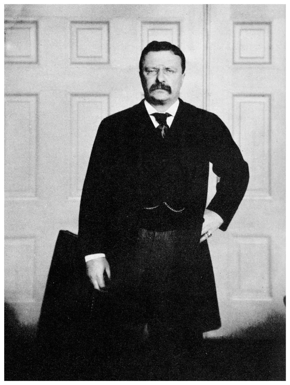 Theodore Roosevelt, 26º Presidente dos Estados Unidos, c1900s 1955 de Unbekannt