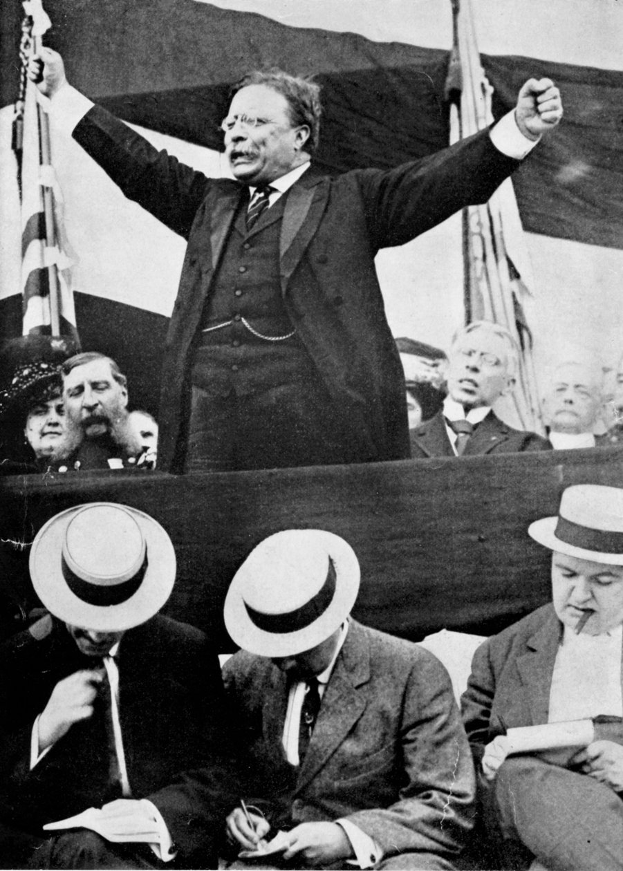 Theodore Roosevelt, Presidente Americano, 1901-1909 de Unbekannt