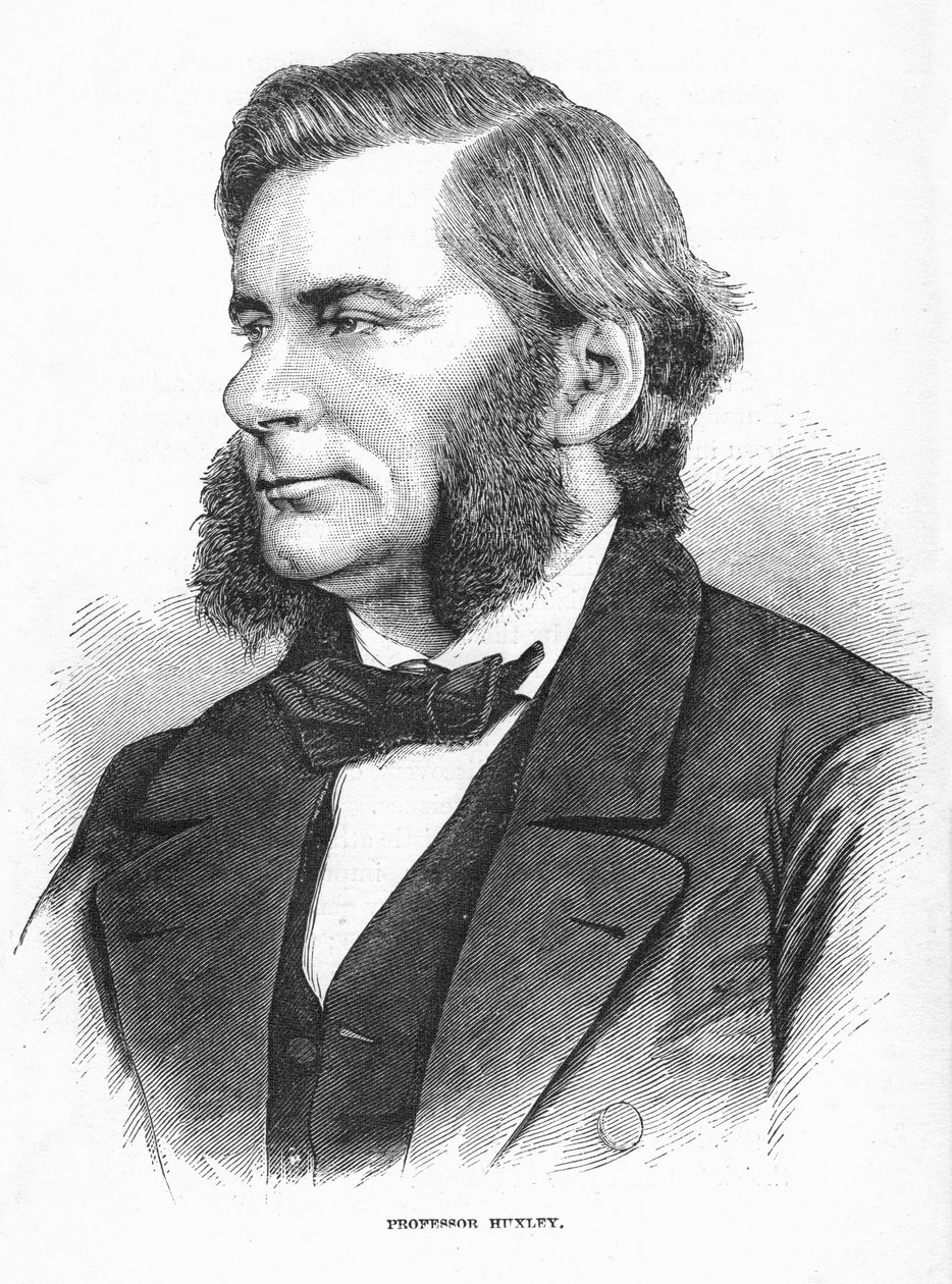 Thomas Henry Huxley, biólogo britânico, c1860s de Unbekannt