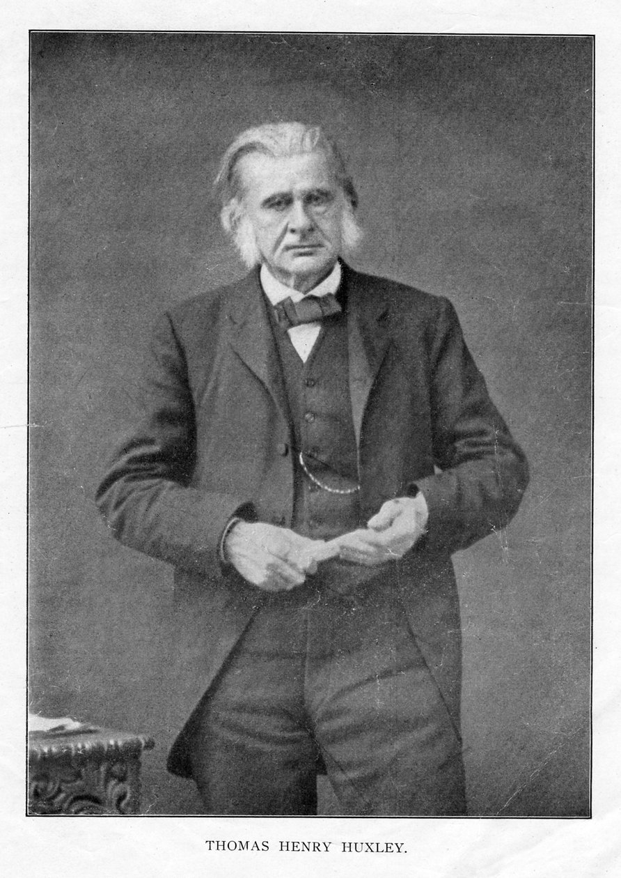 Thomas Henry Huxley, biólogo britânico, c1870s de Unbekannt