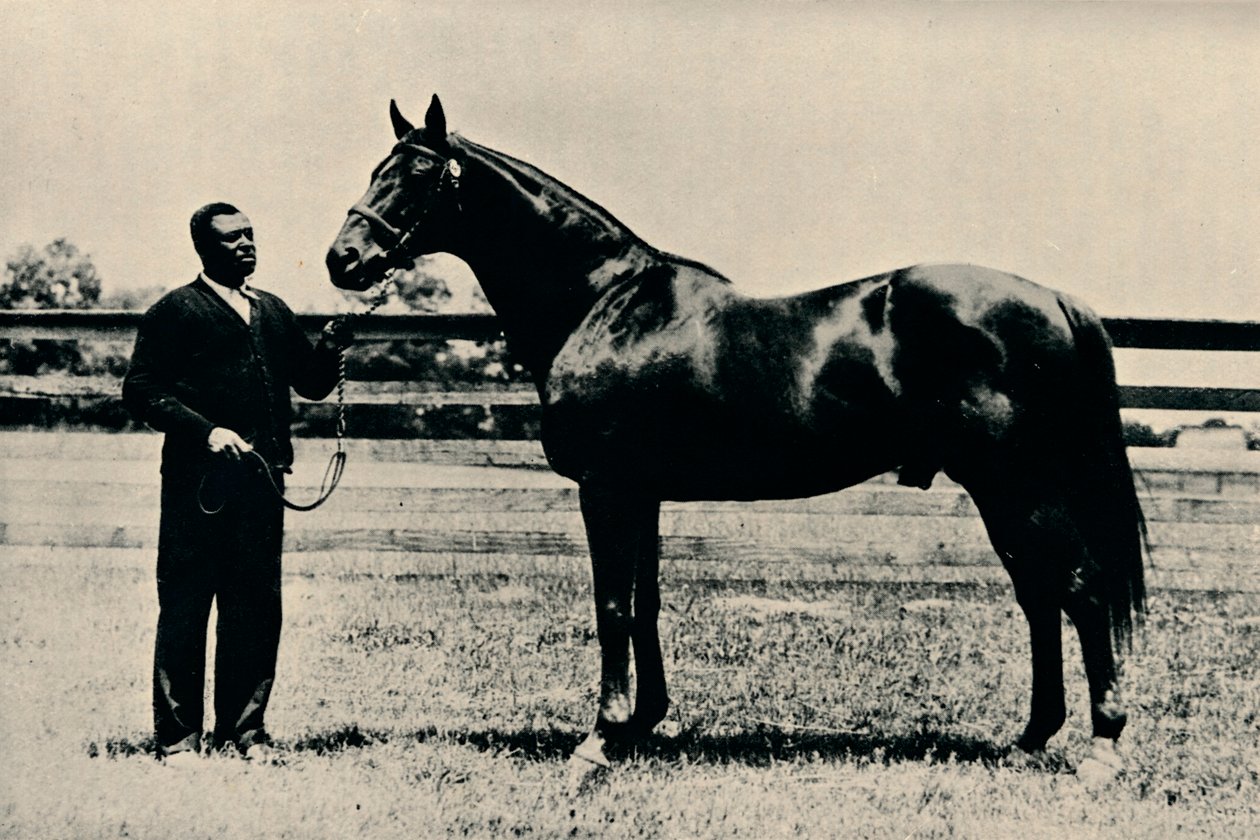 Cavalo puro-sangue, Man O War, c1920 de Unbekannt