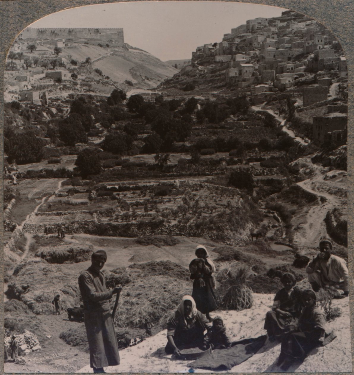Debulha no telhado, com vista para o vale de Kedron, c1900 de Unbekannt