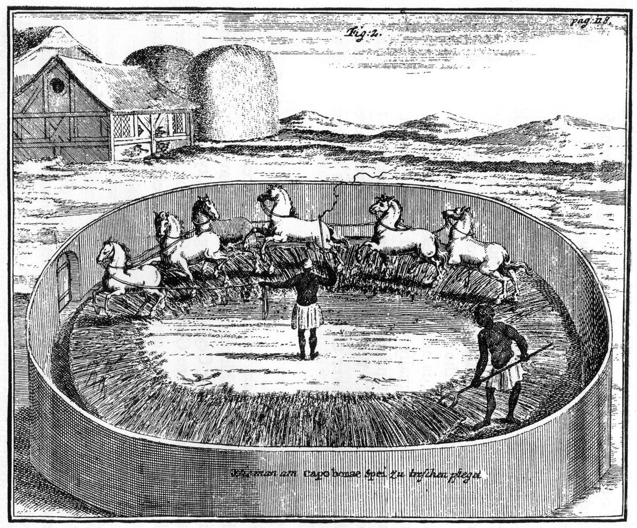 Trilha do milho, África do Sul, século 1831 de Unbekannt