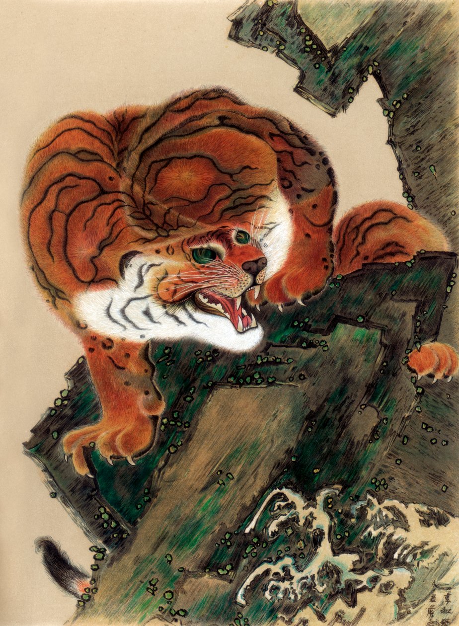 Tigre da vida, 1803 1886 de Unbekannt