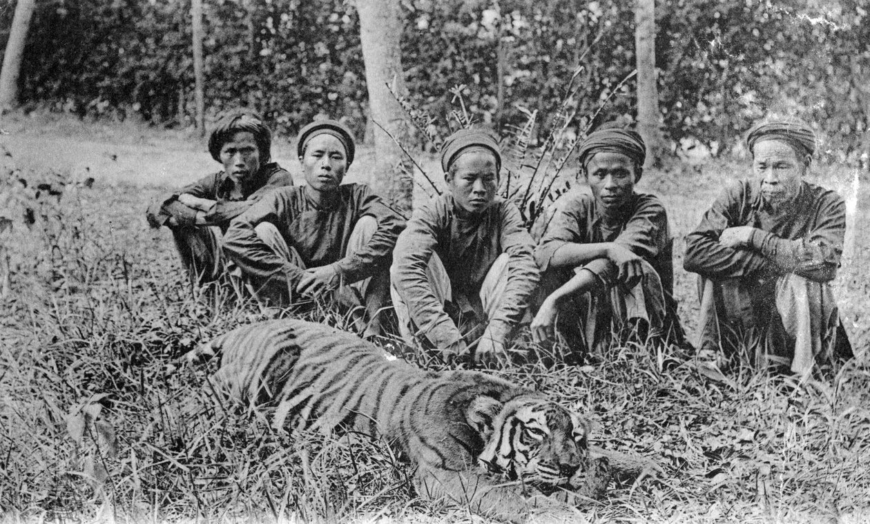 Caçadores de tigres, Tonkin, Vietnã, século XX de Unbekannt