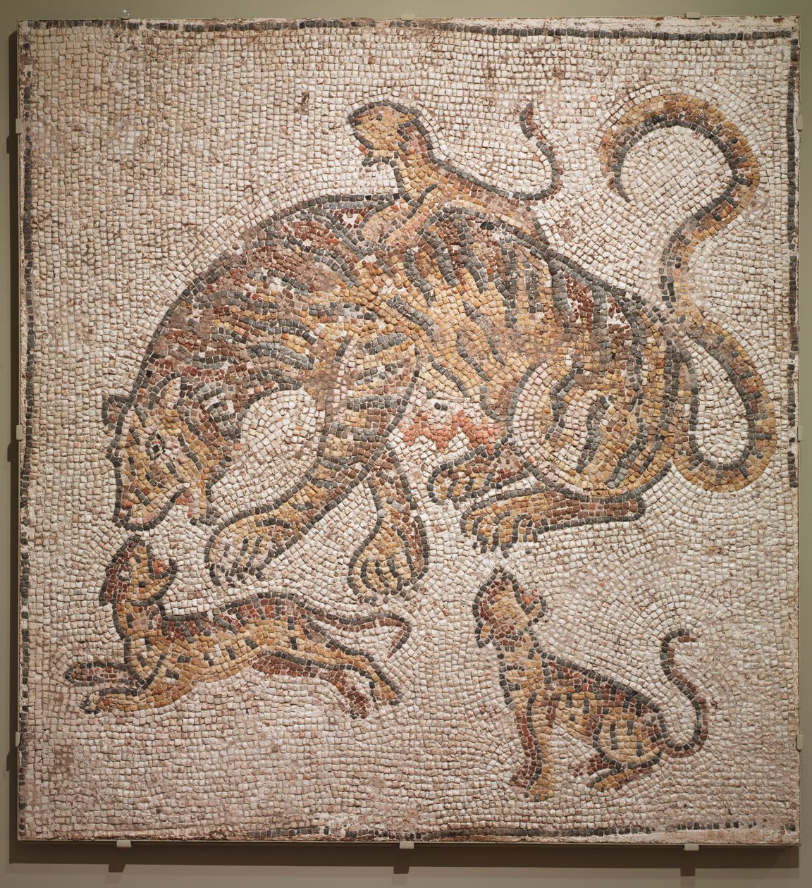 Tigresa e filhotes, 300 anos. de Unbekannt