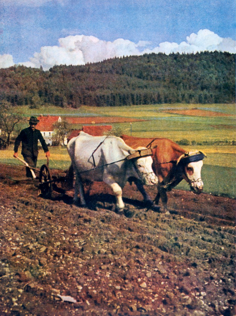Tilling, Alemanha, 1943 de Unbekannt