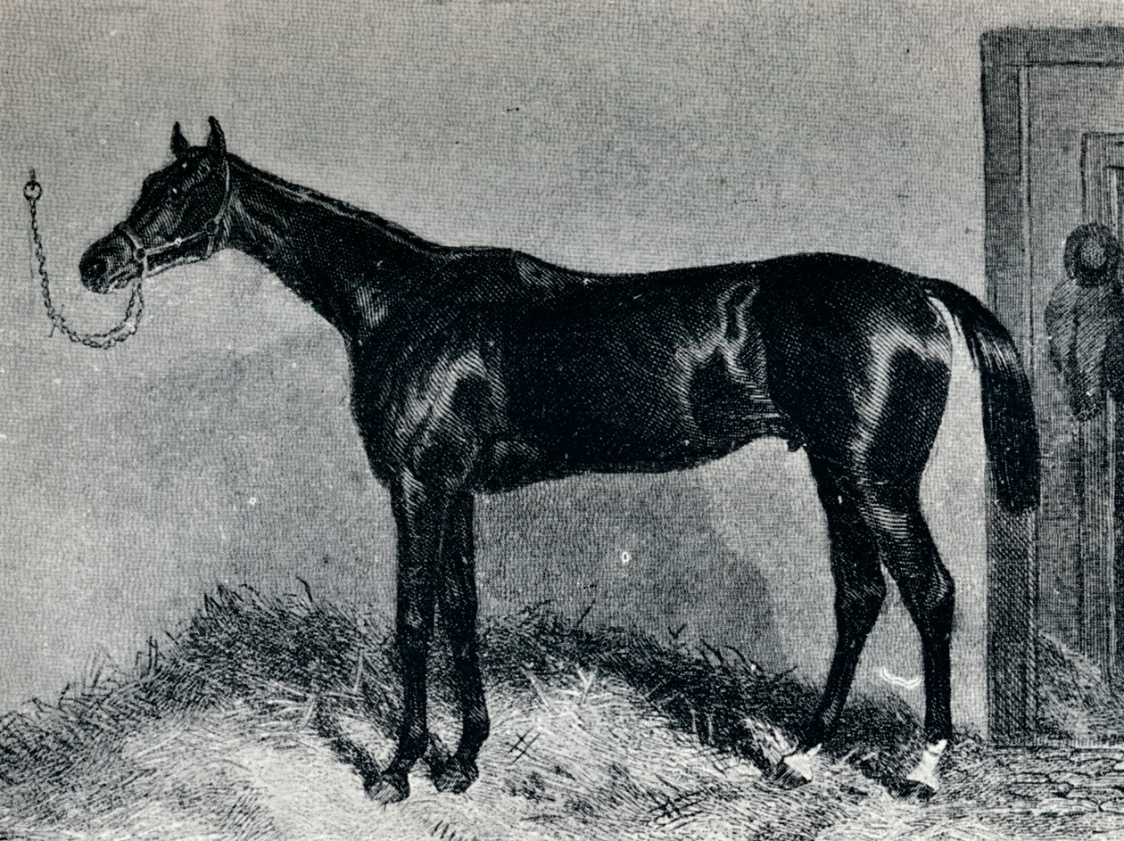 Tim Whiffler, c1860s, 1911 de Unbekannt
