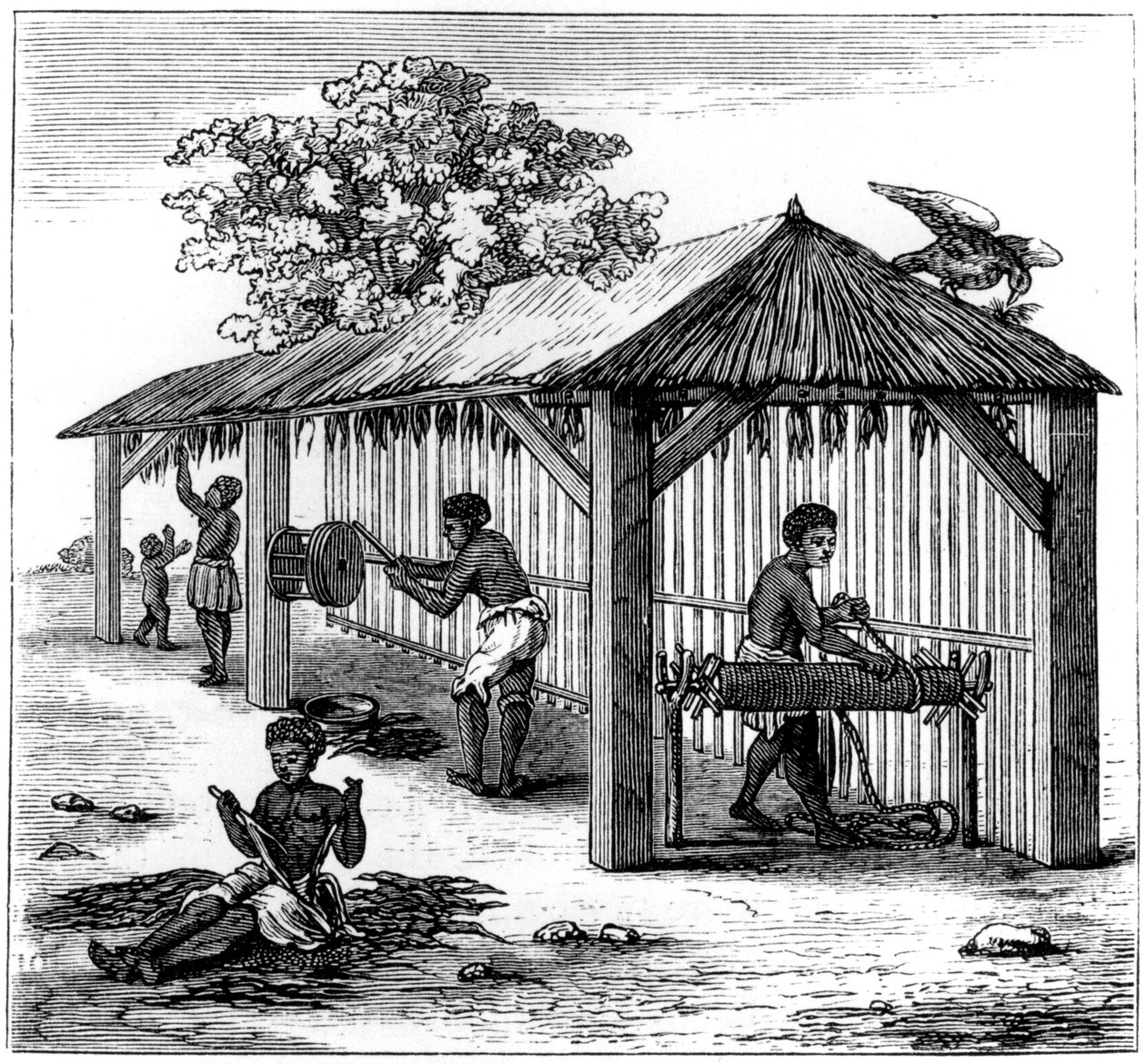 Preparação de tabaco, 1873 de Unbekannt