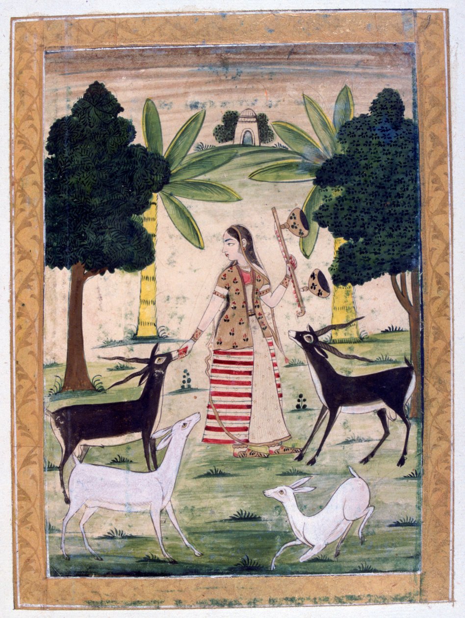Todi Ragini, Álbum Ragamala, Escola de Rajasthan, século XIX de Unbekannt