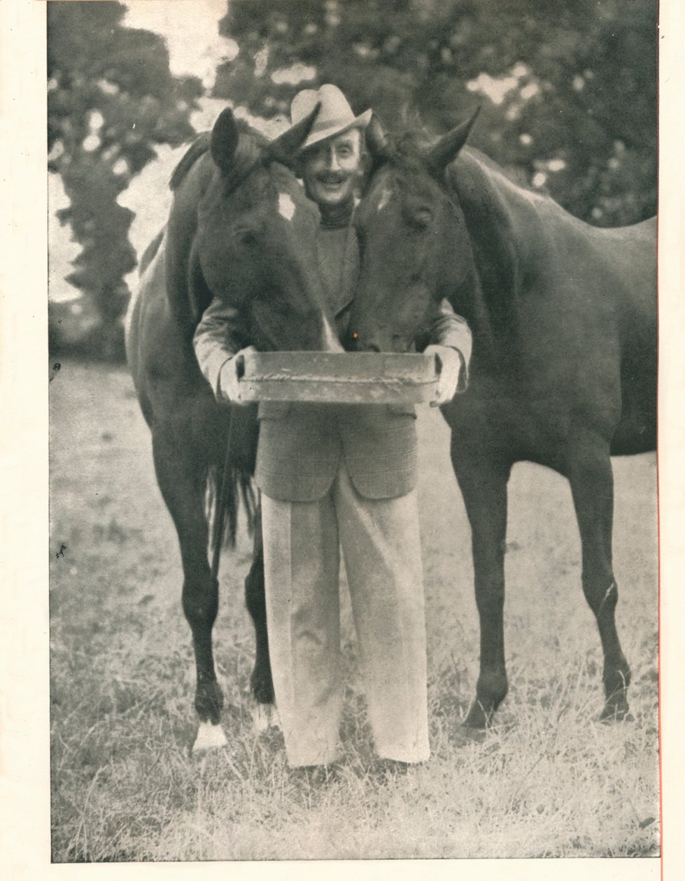 Tom Walls: Que o pedigree de um cavalo fosse um guia tão confiável quanto o nome dos estandes de um cavalo de Unbekannt