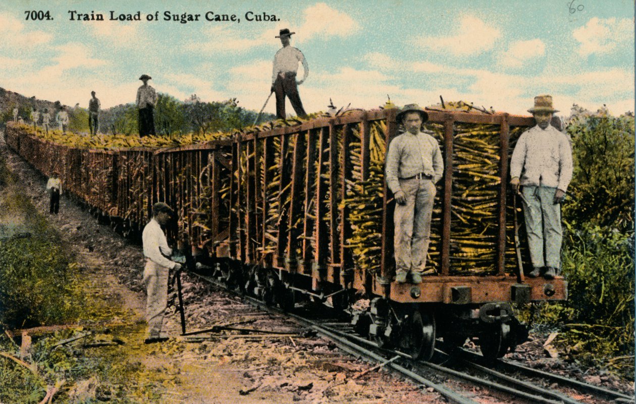 Carga de trem de cana-de-açúcar saindo do campo, Cuba, 1915 de Unbekannt