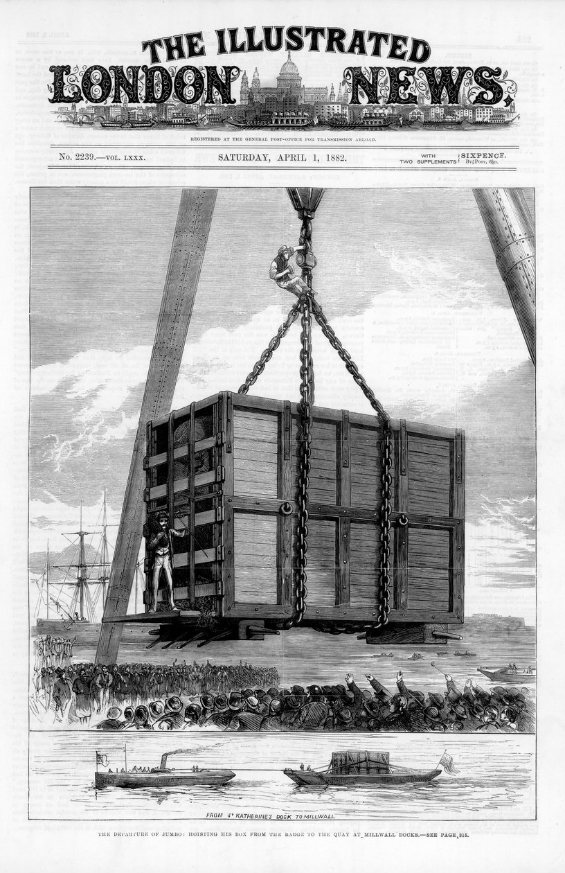 Transportando Jumbo o elefante africano para a América, 1882 de Unbekannt
