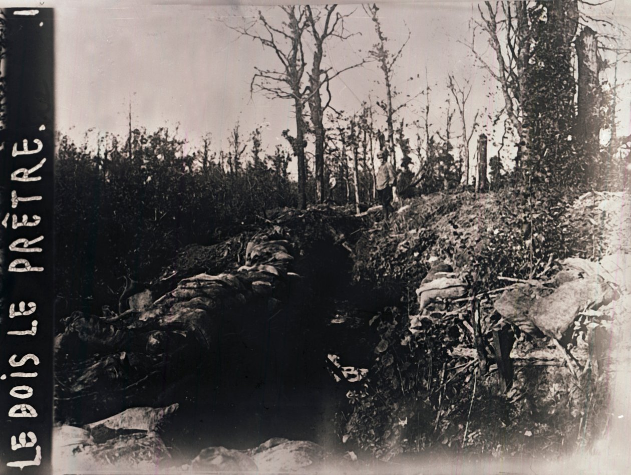 Trincheiras, Bois-le-Prêtre, Lorena, norte da França, c1914-c1918 de Unbekannt