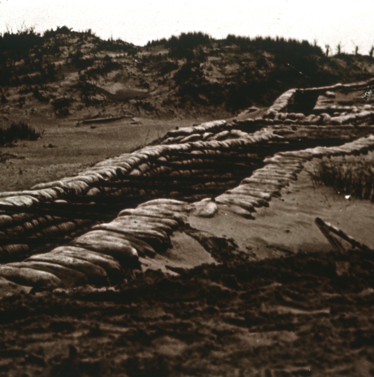 Trincheiras no abrigo das dunas, Nieuwpoort, Flandres, Bélgica, c1914-c1918 de Unbekannt