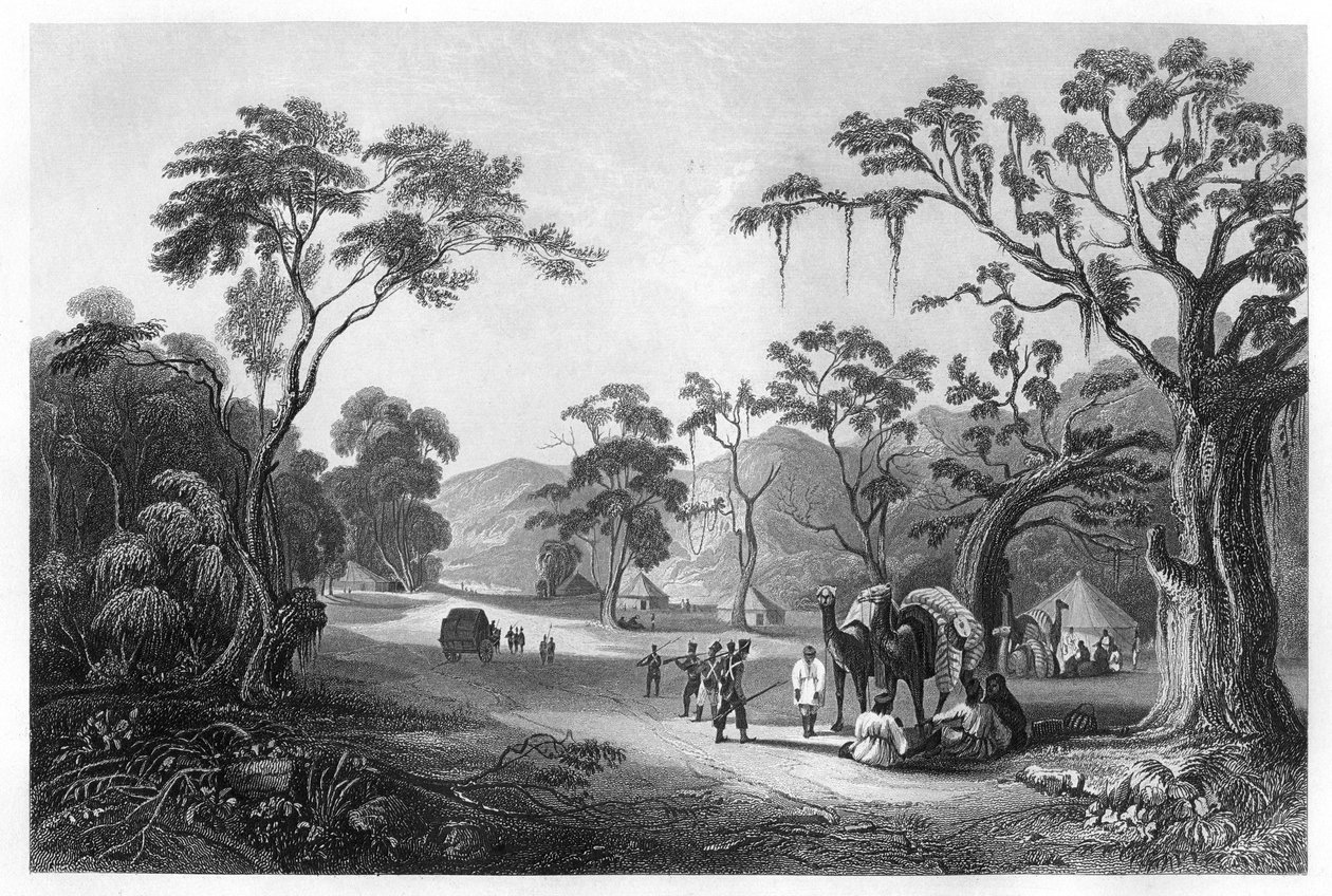 Tropas acampadas na entrada da passagem de Keree, ao norte de Meerut, Índia, c1860 de Unbekannt