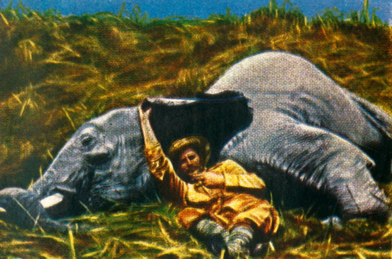 Troféu-caçador com elefante morto, c1928. de Unbekannt
