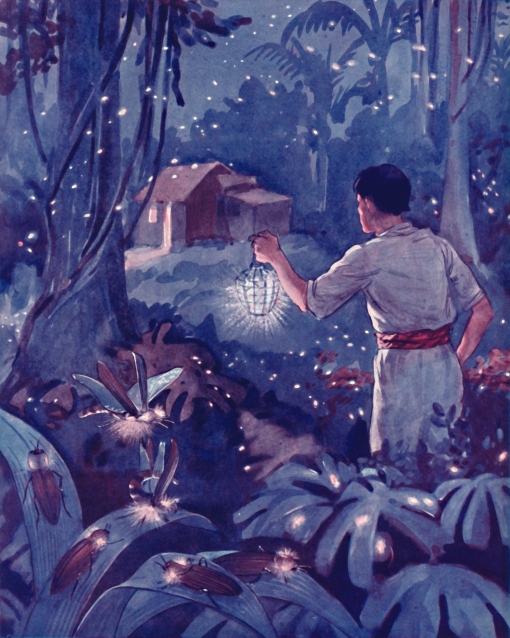Vaga-lumes tropicais como pontos de luz dançantes, 1935 de Unbekannt