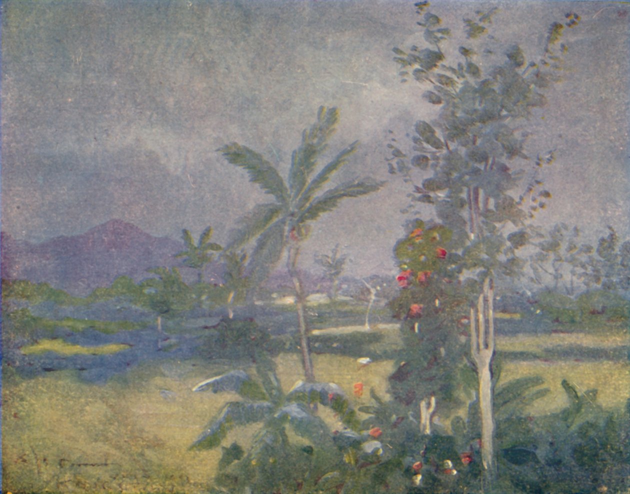Chuvas tropicais nas Índias Ocidentais, 1924 de Unbekannt