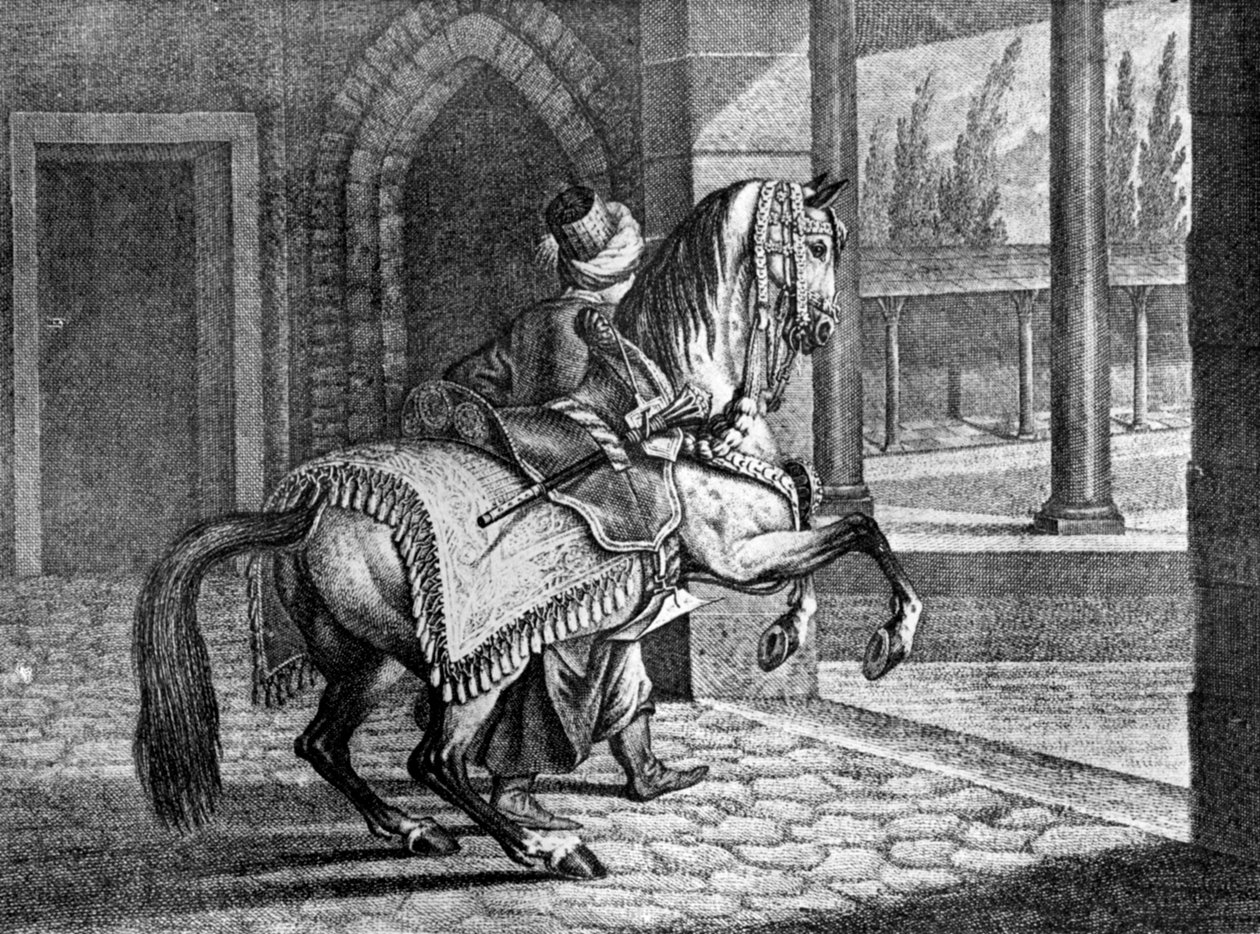 Cavalo de sela árabe dos sultões turcos, 1722, 1938 de Unbekannt