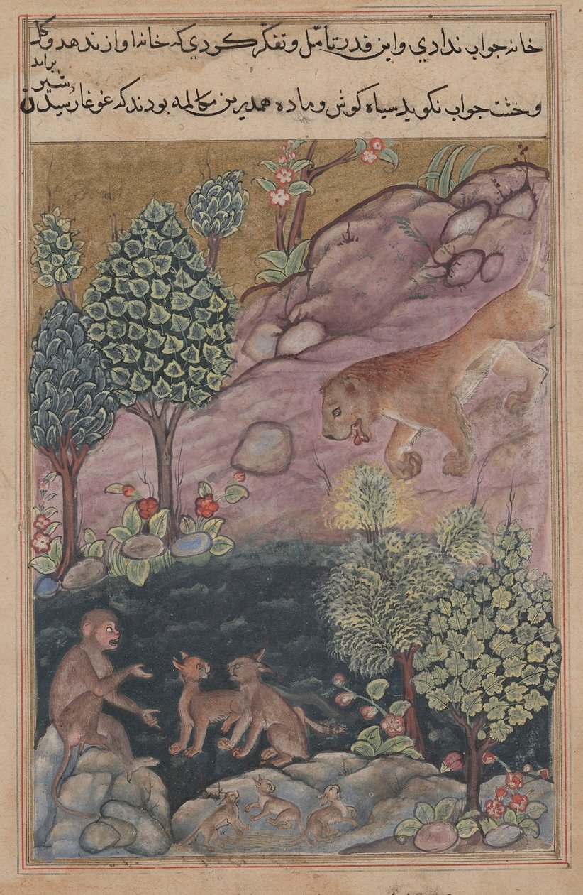 Contos Tuti-Nama de um papagaio: Conto XXIX, O leão retorna ao seu território e vê, c. 1560 de Unbekannt