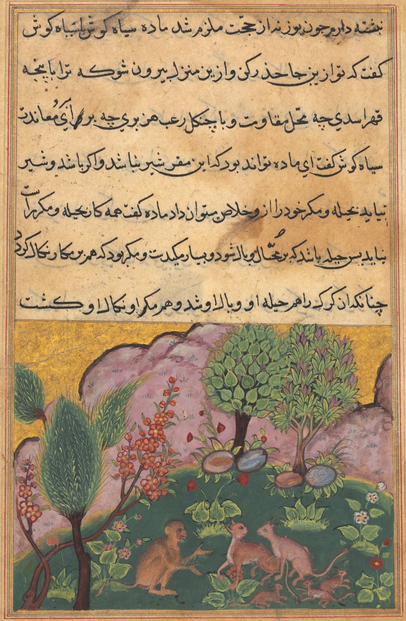 Contos Tuti-Nama de um papagaio: Conto XXIX, c. 1560 de Unbekannt